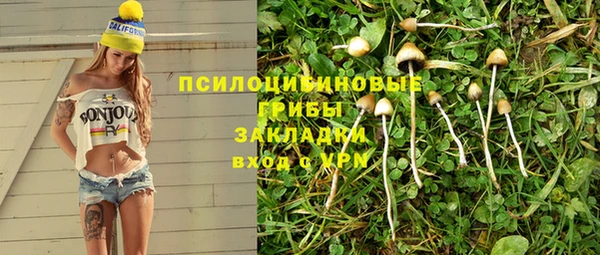 винт Магас