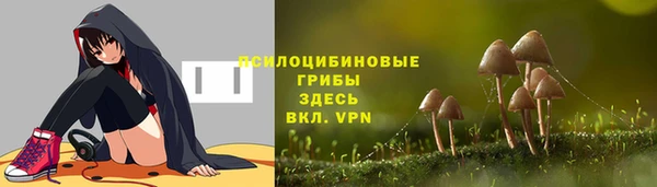 винт Магас