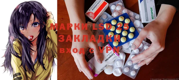гидра Майский