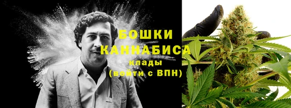 гидра Майский