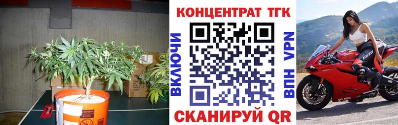 Купить где Каменногорск ТГК вейп