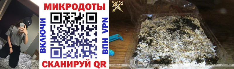 Псилоцибиновые грибы мухоморы  Купить где  Каменногорск 